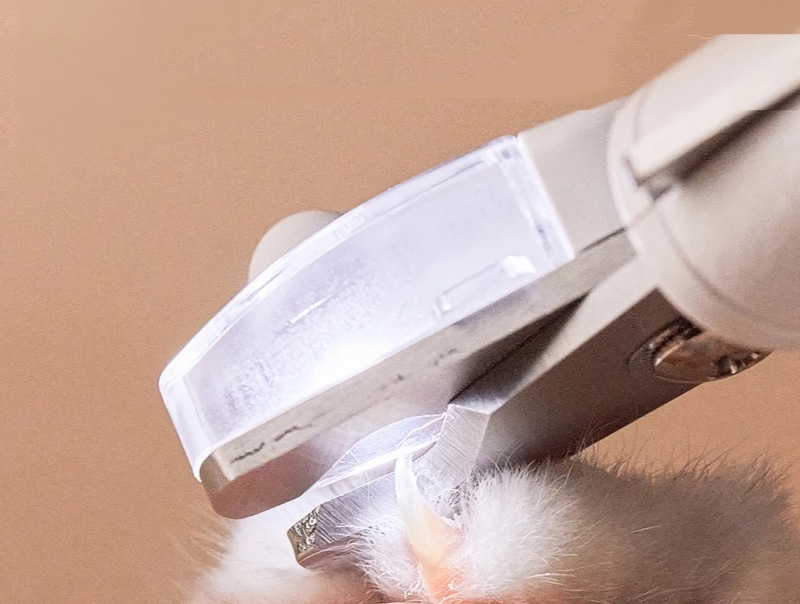 ناخن گیر حیوانات خانگی شیائومی PetKit مدل Petkit Nail Clipper