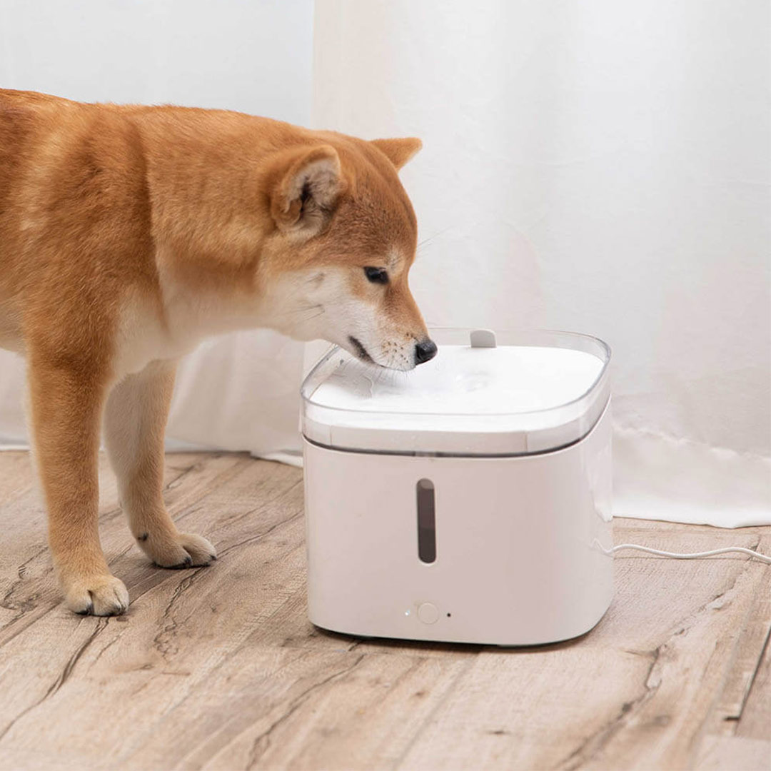 ظرف آب حیوانات خانگی هوشمند شیائومی مدل XWWF01MG