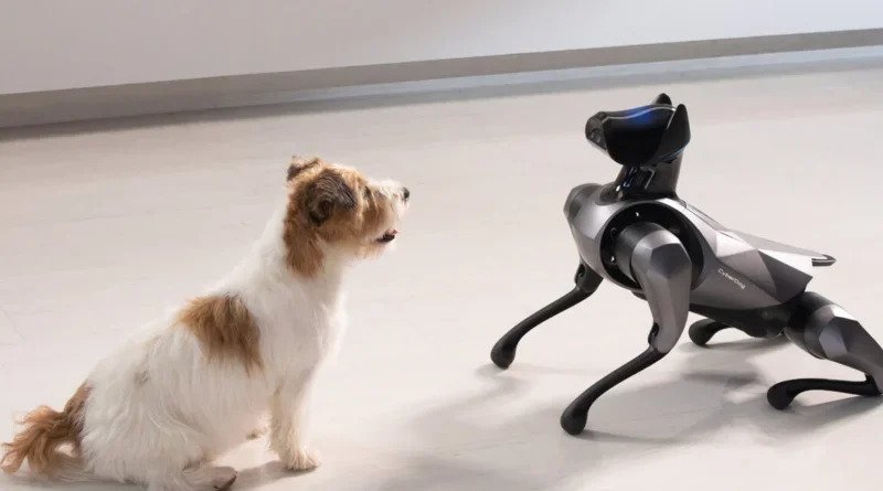 روبات سگ هوشمند سایبری 2 شیائومی