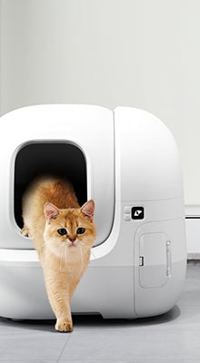 حیوانات خانگی