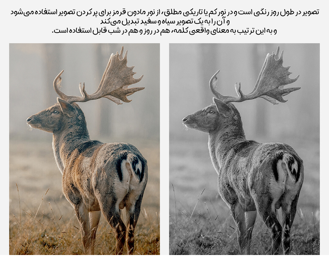 دوربین دید در شب دوچشمی شیائومی MILESEEY مدل BNV20 دوربین دید در شب دوچشمی شیائومی MILESEEY مدل BNV20