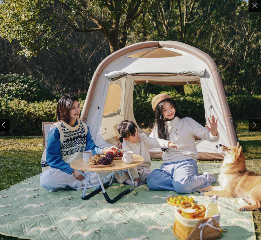 زیرانداز فوق ضخیم نیچرهایک Naturehike مدل CNK2350WS010